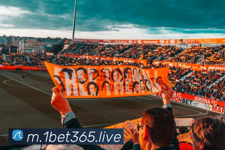 bet365中国官网平台生态图