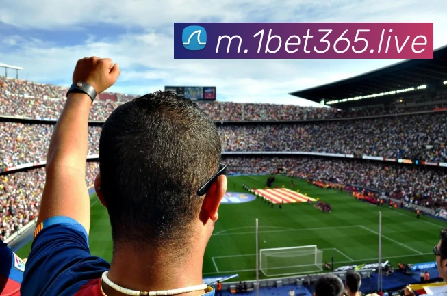 bet365中国官网APP 封面图